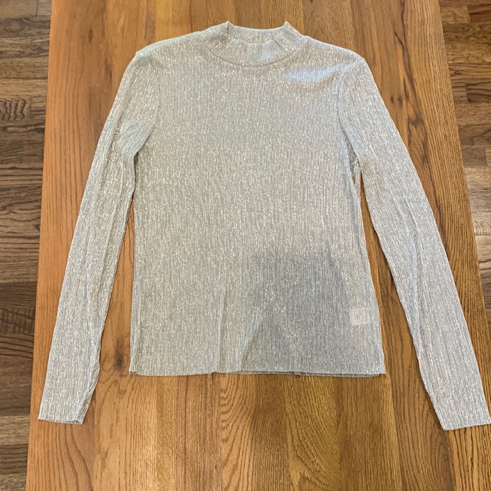 Silver Long Sleeve Top